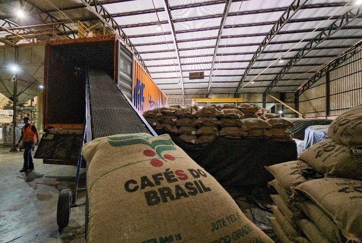 Exportações de café não torrado crescem mais de 20% na primeira semana de fevereiro/26