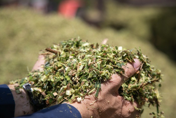 Valente ADRF 6010 se destaca como solução estratégica para silagem em sistemas pecuários intensivos