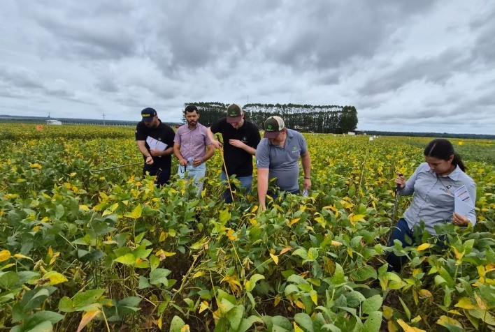 Soja mantém produtividade no Mato Grosso mesmo sob estresse abiótico, aponta roteiro técnico da Elicit Plant