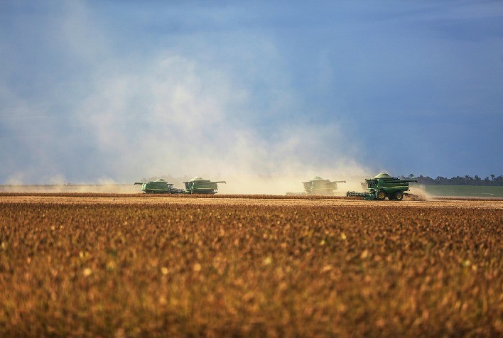 Safra recorde de soja 2025/26 deve alcançar 181,3 milhões de toneladas no Brasil, aponta Céleres