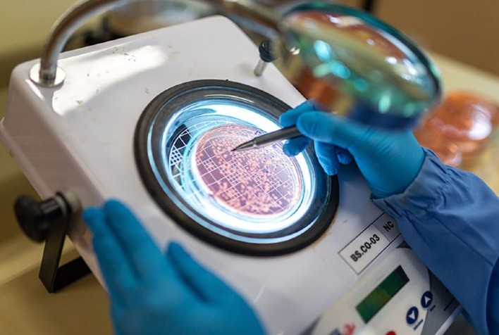 Uso de bioinsumos aumenta produtividade da soja no Paraná em mais de 8%