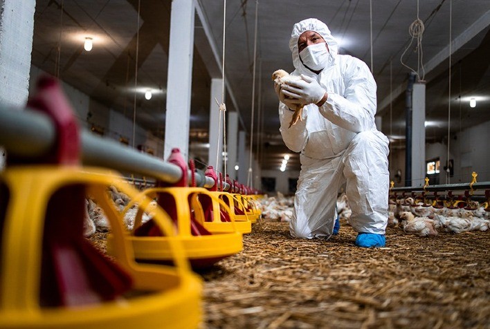 Governo sanciona lei que destina R$ 83,5 milhões para reforçar ações de sanidade agropecuária no Brasil