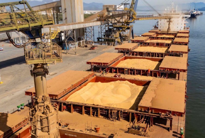 Exportações de soja disparam em janeiro e Mato Grosso lidera embarques nacionais