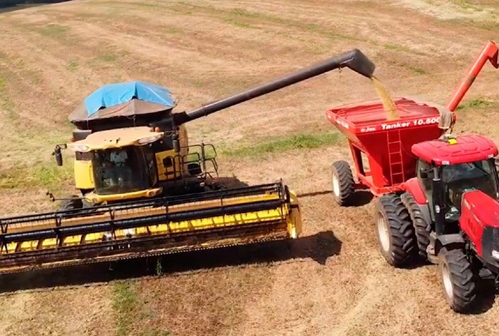 Preparação de Máquinas e Planejamento São Chave para a Colheita de Verão 2026