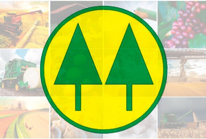 Cooperativismo impulsiona nova economia com foco em pessoas e desenvolvimento sustentável