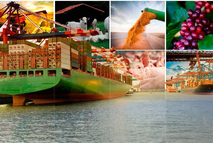 Exportações do agronegócio somam US$ 10,7 bilhões em janeiro e recuam 23% frente a dezembro