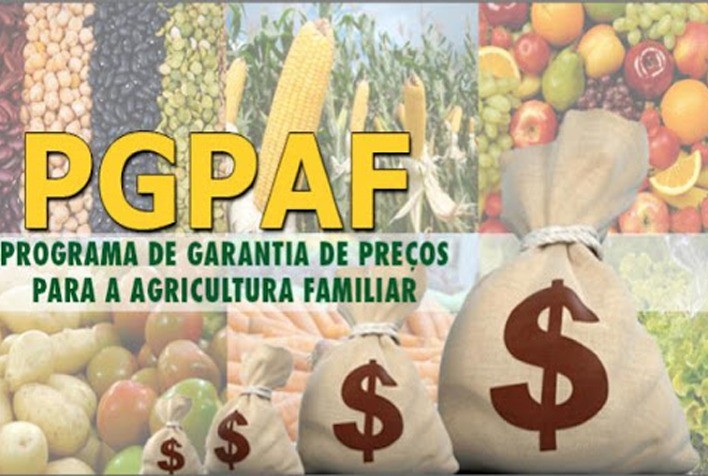 Crédito rural: PGPAF atualiza bônus do Pronaf em fevereiro com novos percentuais para agricultores familiares