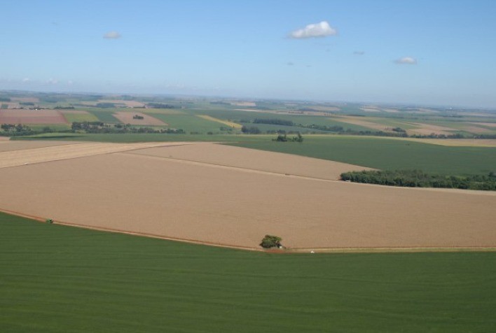 C.Vale bate recorde histórico de produção e amplia participação na safra nacional de grãos