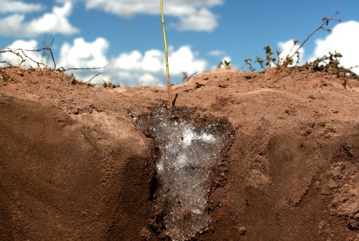 Polímeros hidroretentores ganham espaço na cafeicultura como solução estratégica para manejo da água