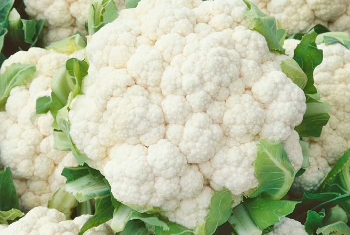 Couve-flor exige cultivares mais resistentes às mudanças climáticas no Brasil