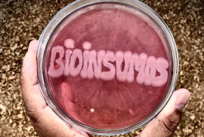 Bioinsumos ganham força no Brasil e apontam saída para dependência externa no agronegócio