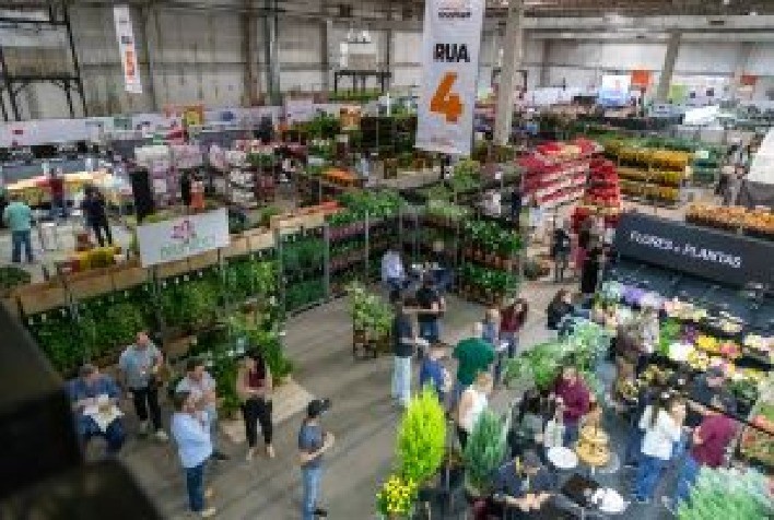 Veiling Holambra antecipa tendências de flores e plantas para o mercado de 2026