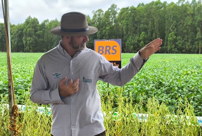 Embrapa apresenta novas variedades de soja de alto rendimento no Dia de Campo Agrobrasília 2026