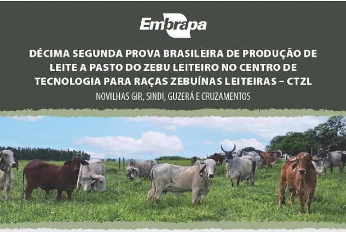 Prova Nacional de Leite a Pasto vai identificar as melhores novilhas zebuínas leiteiras do Brasil Central