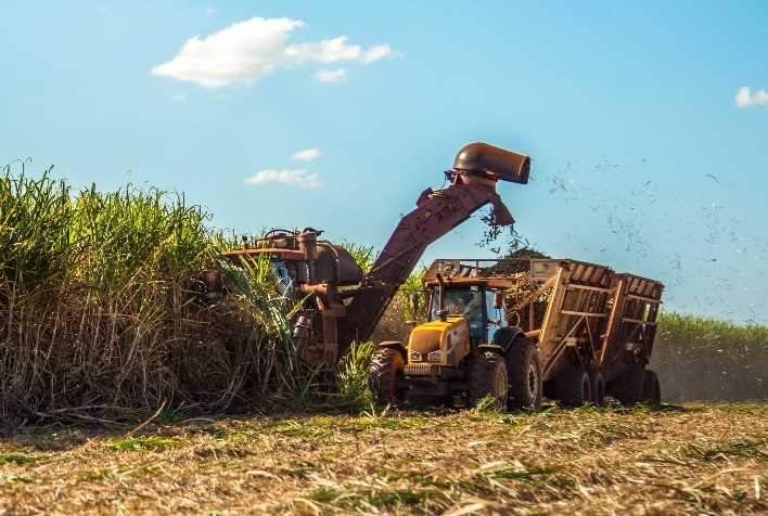 Arrendamento de terras por usinas de cana intensifica concentração fundiária em São Paulo, aponta estudo da Unesp