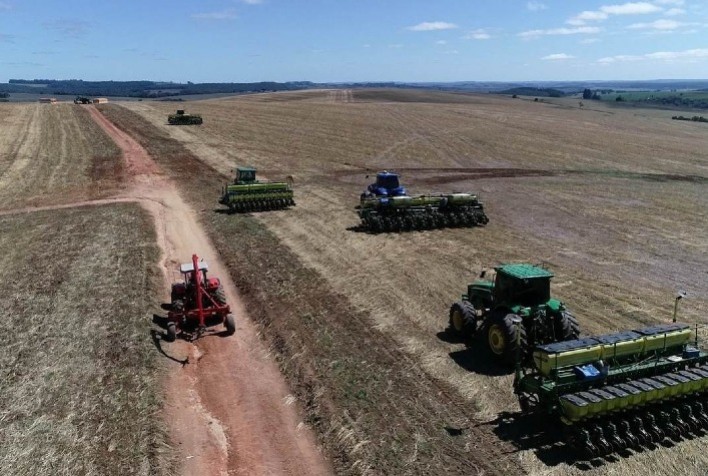 Plantio da 2ª Safra de Feijão Avança no Paraná e Alcança 71% da Área Prevista