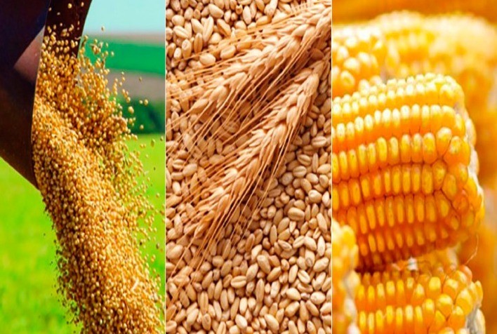 Preços da soja, milho e trigo variam no Paraná, aponta Informe Perspectivas de Mercado da Ocepar