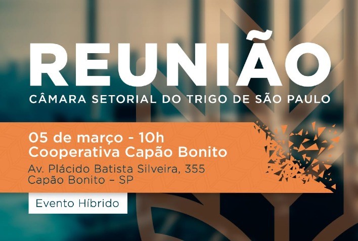 Trigo paulista: Câmara Setorial inicia agenda de 2026 com foco na safra e perspectivas de mercado