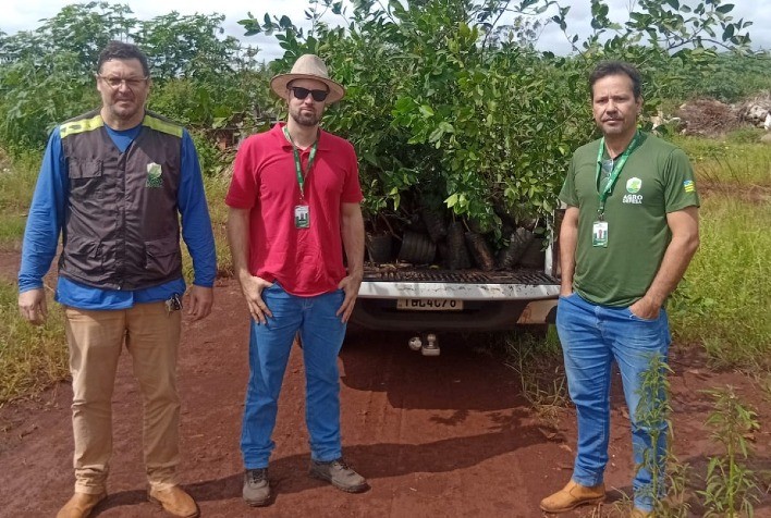 Agrodefesa Elimina Mudas de Citros Contaminadas por Cancro Cítrico em Itumbiara