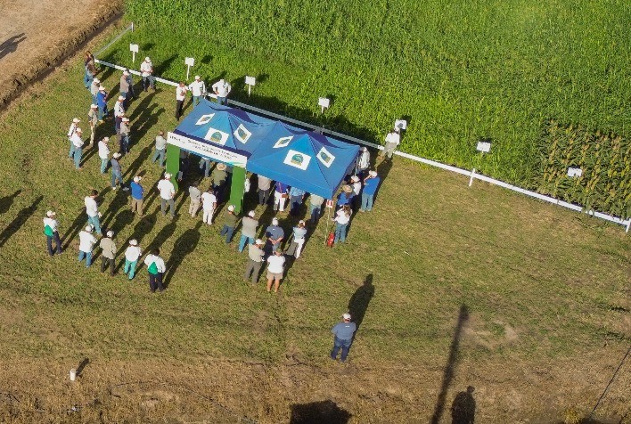 Colheita do Arroz no RS destaca novas tecnologias e potencial de produtividade nas terras baixas