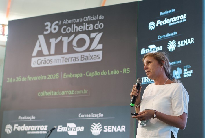 Especialista Defende Integração e Padrão de Qualidade para Fortalecer Exportações de Arroz