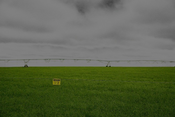 Manutenção de cercas elétricas é essencial durante o período chuvoso para garantir segurança do rebanho