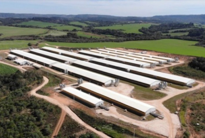 Energia e biossegurança: falhas elétricas expõem vulnerabilidade do agronegócio brasileiro