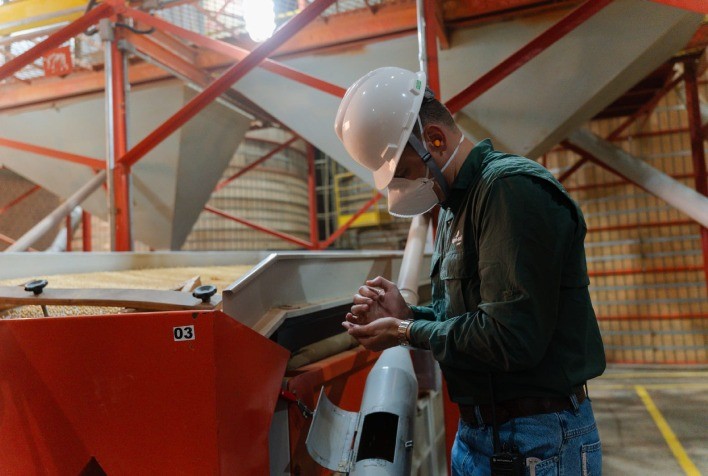 Beneficiamento de soja impulsiona safra de sementes e reforça controle de qualidade nas indústrias