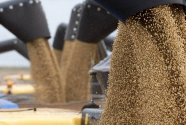 Clima, Logística e Mercado Global Impactam a Soja: Preços Estáveis no Brasil e Oscilações em Chicago