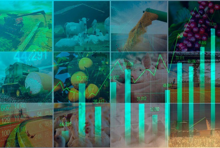 Agronegócio Impulsiona Crescimento do PIB em 2026 com Alta de 11,7% no Setor