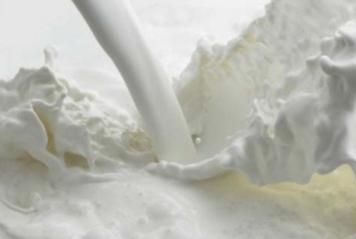 Sindilat defende união do setor para garantir aprovação do PL do Leite no Senado