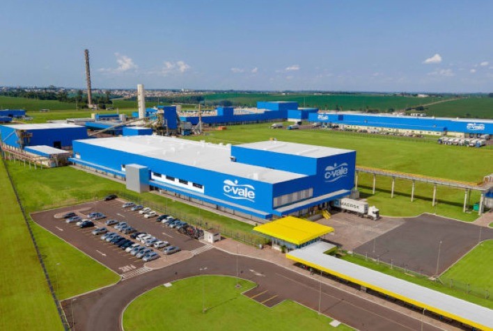 C.Vale amplia em 14% o processamento de peixes e bate recordes na produção de tilápias em 2025