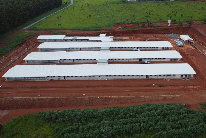 Hubbard investe R$ 60 milhões para expandir produção de frangos no Brasil