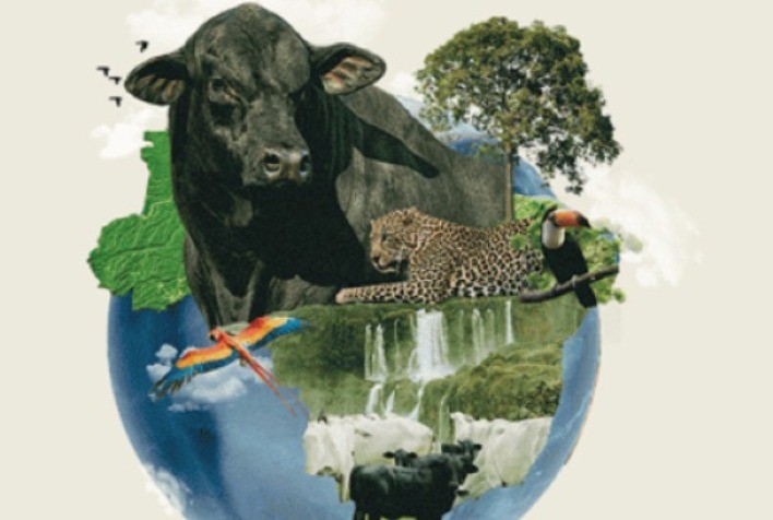 Brasil sedia Congresso Mundial Brangus em março de 2026