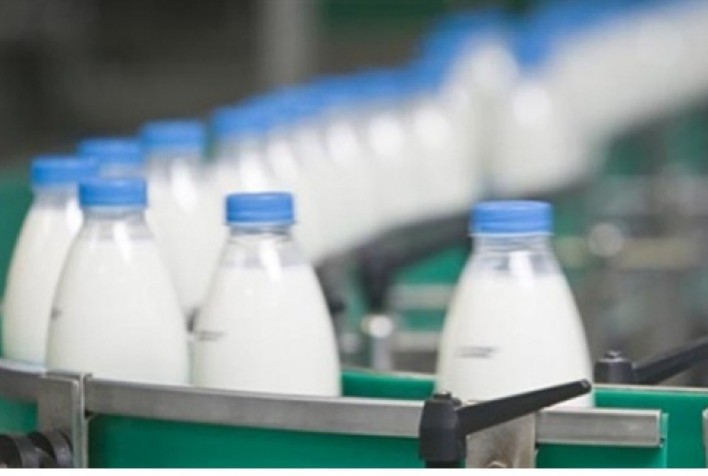 Exportações brasileiras de lácteos avançam quase 30% em fevereiro, aponta boletim do IMEA