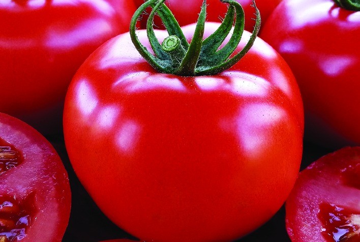 Preço do tomate dispara nos atacados com redução da oferta no início de março