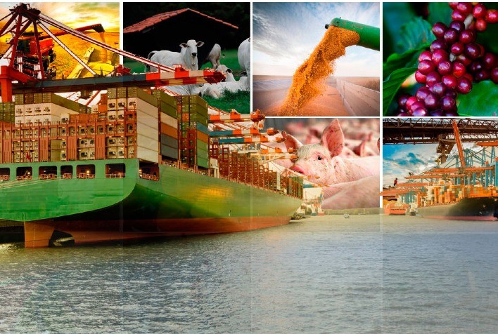 Agronegócio brasileiro bate recorde em exportações em 2025