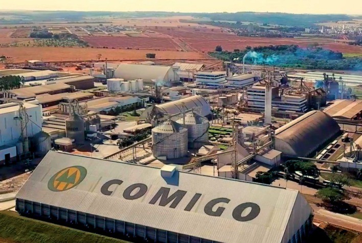 Exportações de soja devem ganhar força em março apesar de atrasos causados pelas chuvas