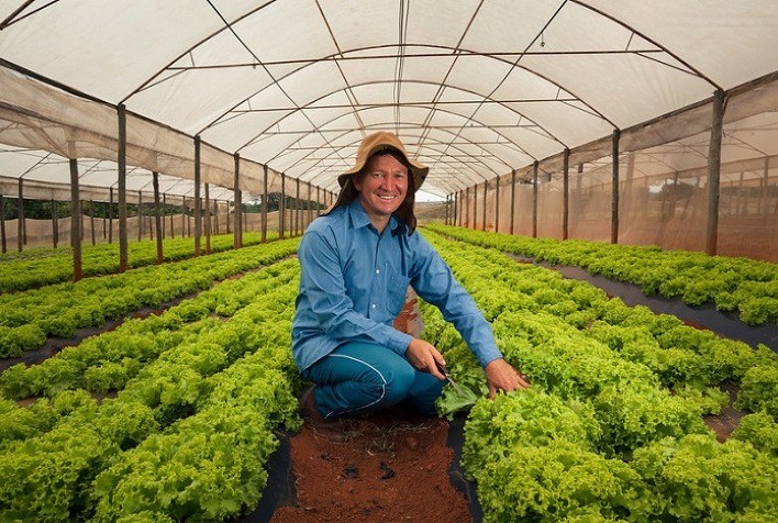 Mapfre lança seguro agrícola anual para hortaliças em Mogi das Cruzes