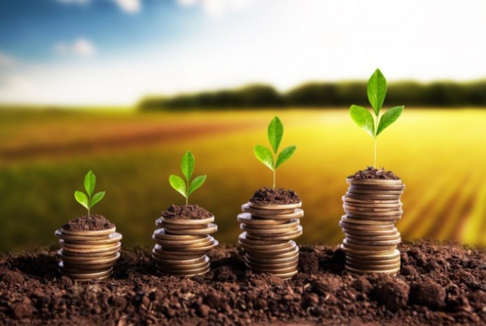 Crédito rural cresce no Plano Safra 2025/2026 e soma R$ 354,4 bilhões contratados até fevereiro