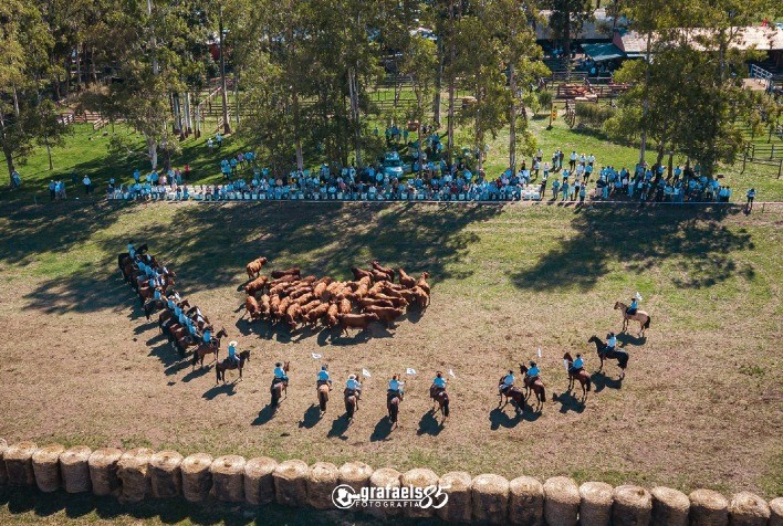 Congresso Mundial Brangus começa no RS com visitas técnicas a fazendas de referência