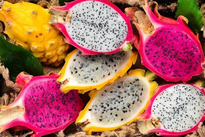 Pitaya ganha força no Brasil e desponta como nova oportunidade no agronegócio