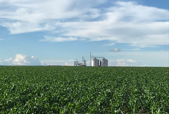 Plantio da safrinha de milho 2026 alcança 91% no Centro-Sul, mas estiagem no Paraná acende alerta