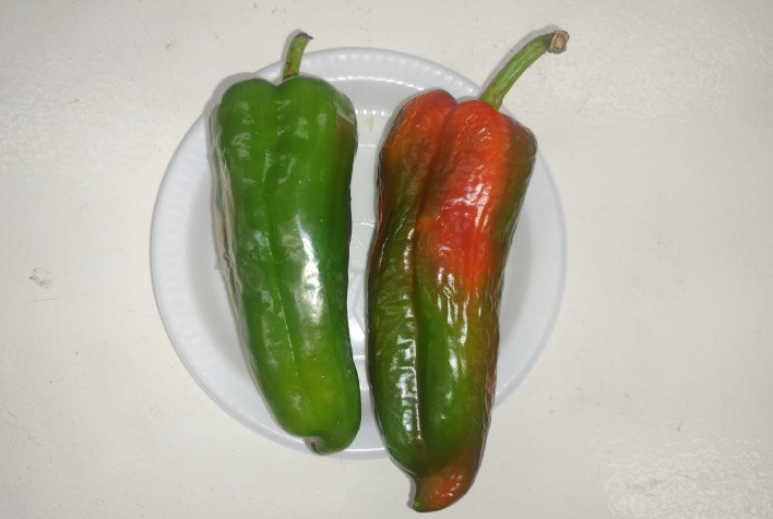 Nutec desenvolve embalagens comestíveis e biodegradáveis para ampliar conservação de alimentos