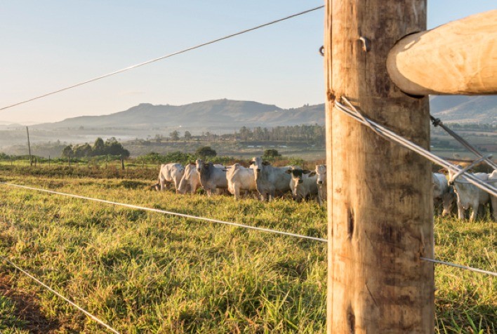 Infraestrutura rural se torna diferencial competitivo com Brasil liderando exportações de carne bovina