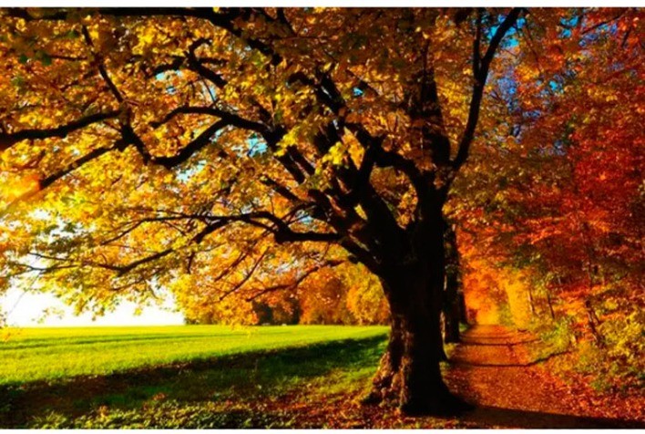 Início do outono traz boa umidade do solo e clima favorável para safras no Brasil, aponta Nottus