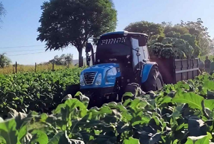 Tecnologia em tratores impulsiona eficiência no cultivo de tabaco e fortalece agricultura familiar no Sul