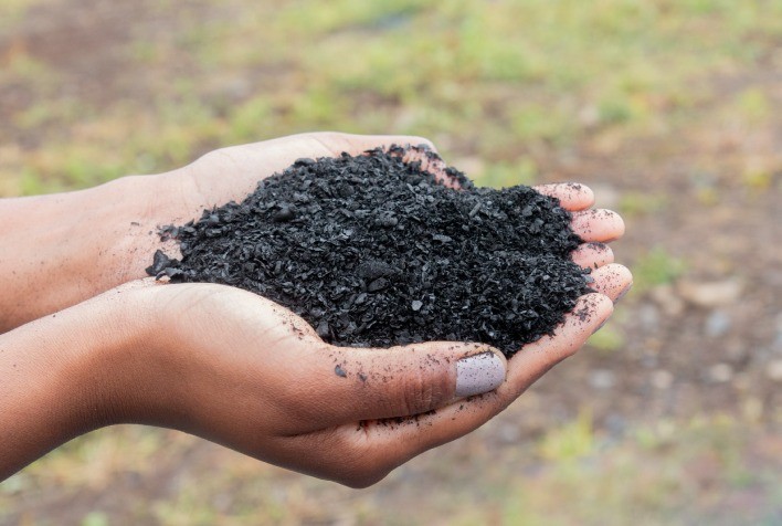 Biochar avança como solução para recuperação de áreas degradadas no Espírito Santo