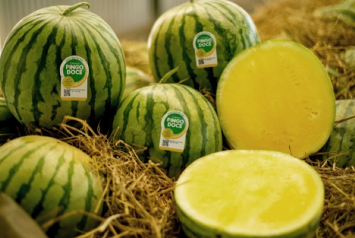 Pingo Doce destaca modelo integrado e inovação na cadeia de frutas na Fruit Attraction São Paulo 2026