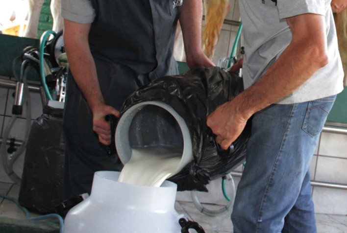 Preço do leite reage no início de 2026, mas setor ainda enfrenta pressão de custos e importações